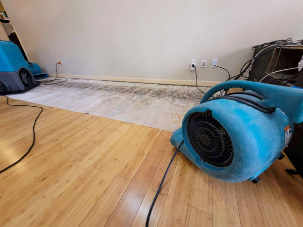 Professional Water Removal technician working in Ahwahnee, CA